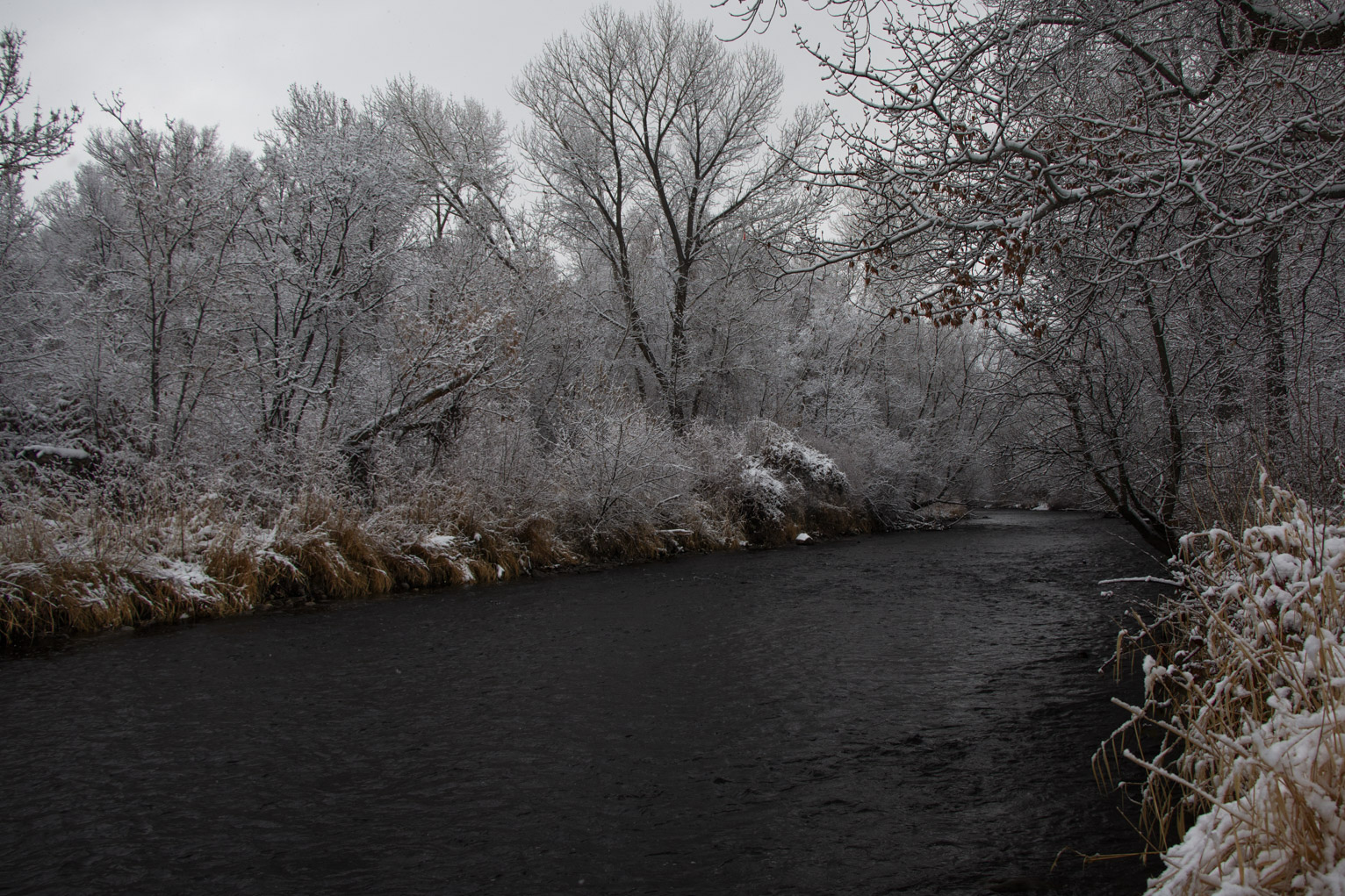 The Timpanogus river looks unnaturally dark against the snow covered trees and white sky